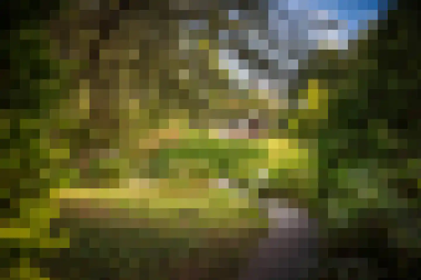 Hazeloop 4 Gorssel thumbnail 8