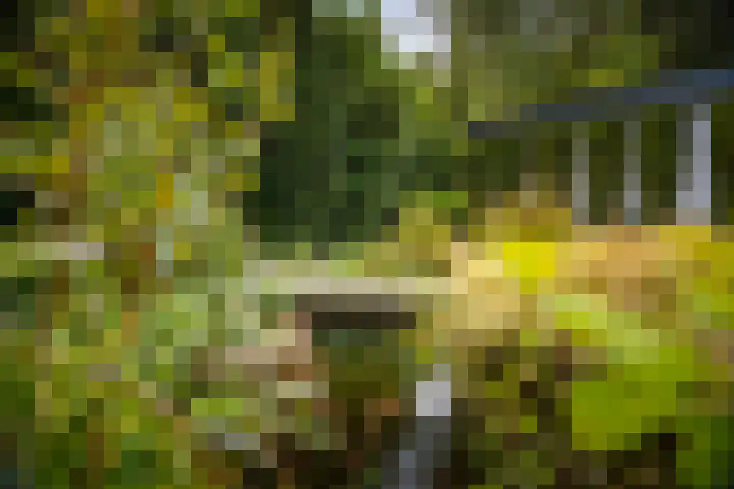 Hazeloop 4 Gorssel thumbnail 9