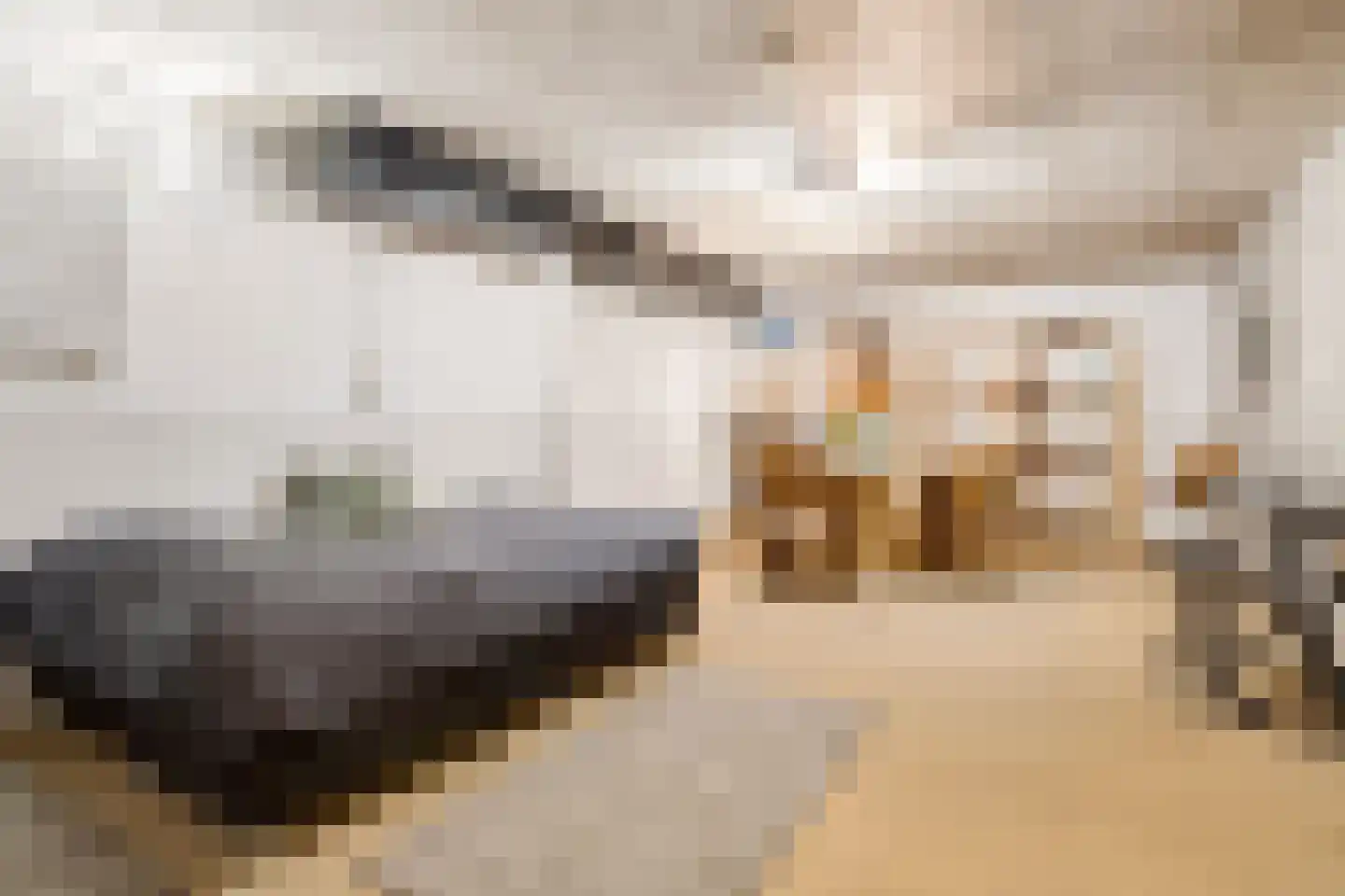 Hazenakker 16 Houten thumbnail 34