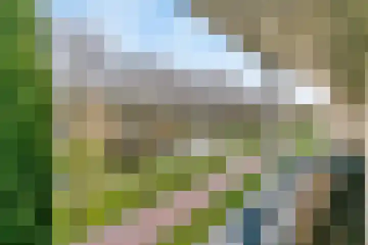 Hazenakker 26 Houten thumbnail 18