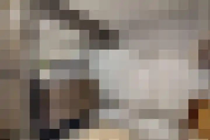 Hazenakker 26 Houten thumbnail 19