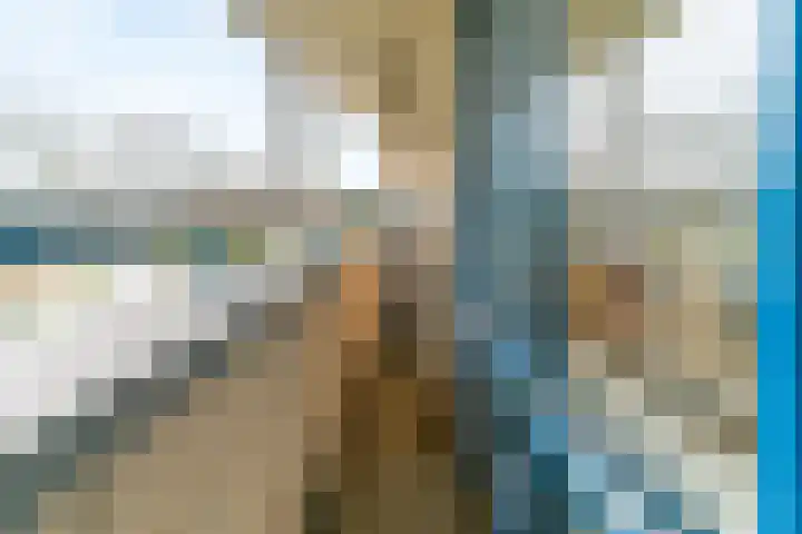 Hazenakker 26 Houten thumbnail 24