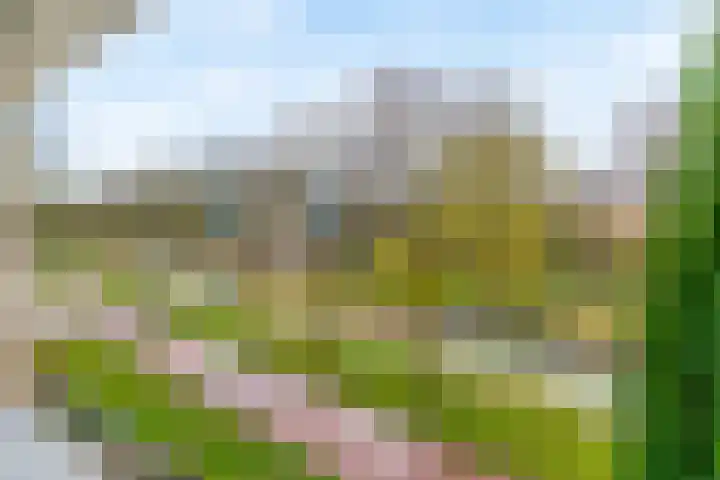 Hazenakker 26 Houten thumbnail 4