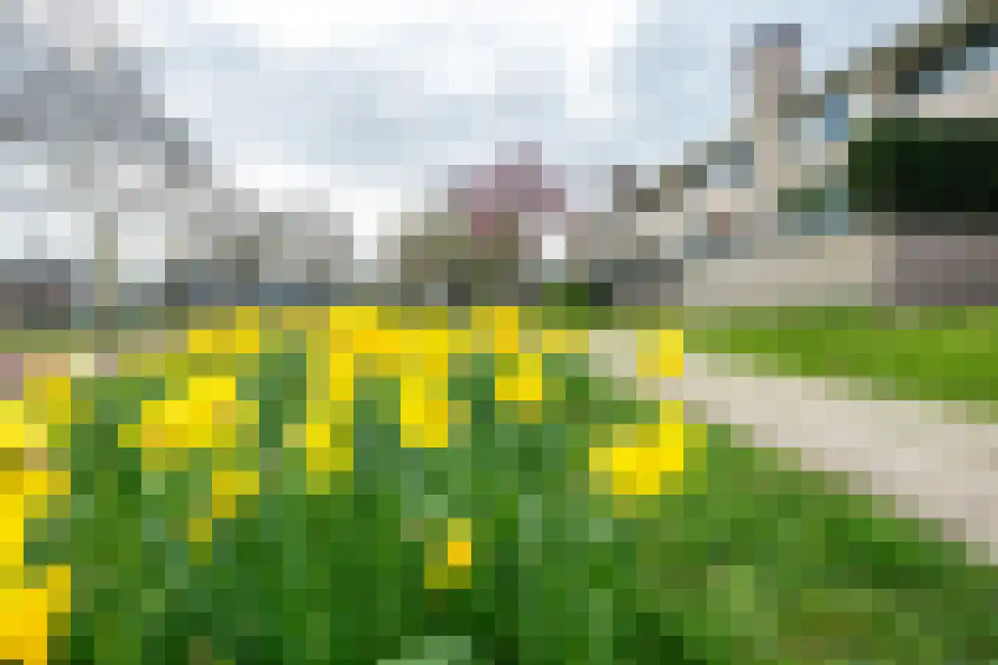 Hazenakker 28 Houten thumbnail 51