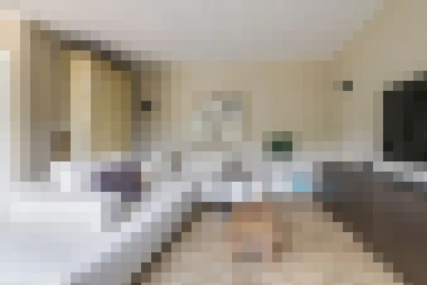 Hazenakkers 2 Herveld thumbnail 25
