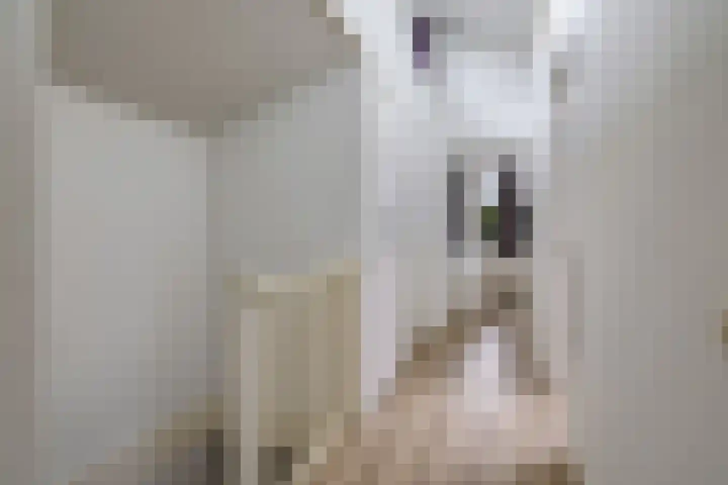 Hazenakkers 2 Herveld thumbnail 45