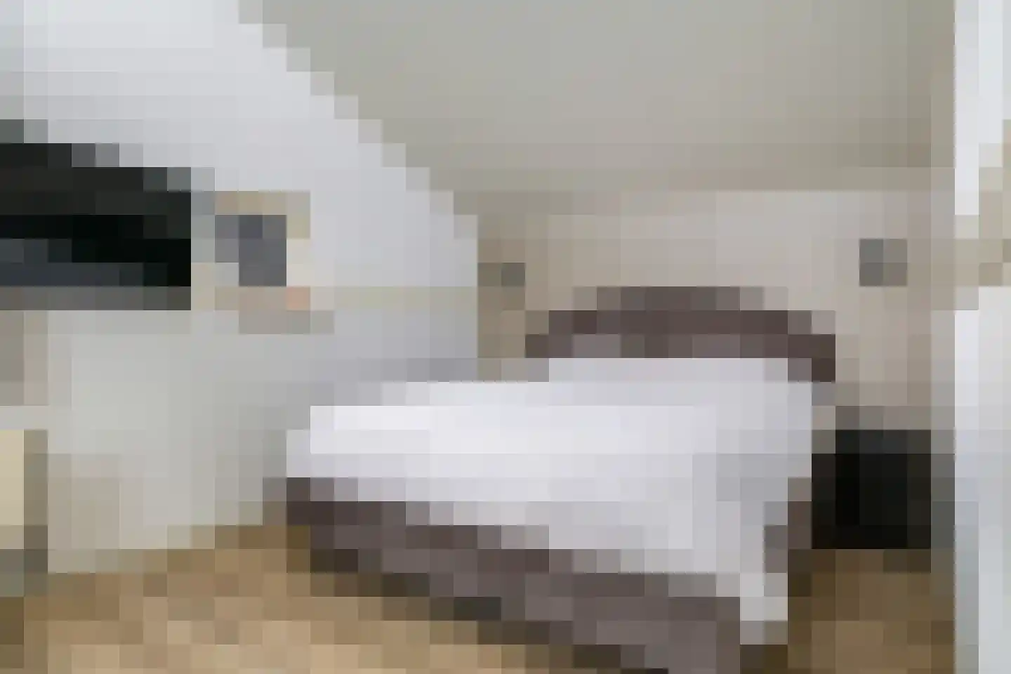Hazenakkers 2 Herveld thumbnail 46
