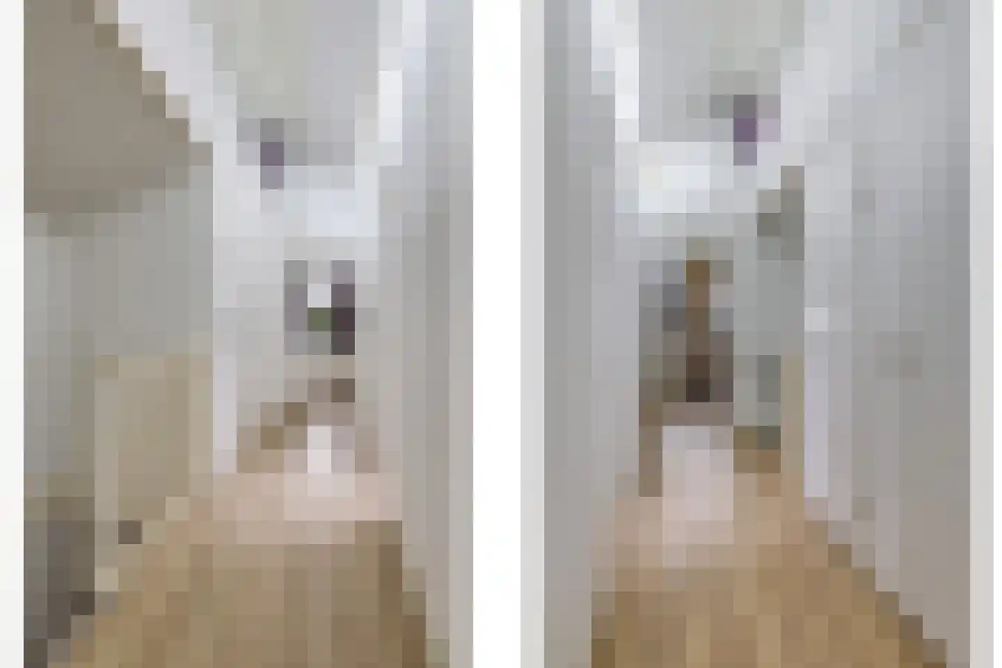 Hazenakkers 2 Herveld thumbnail 48