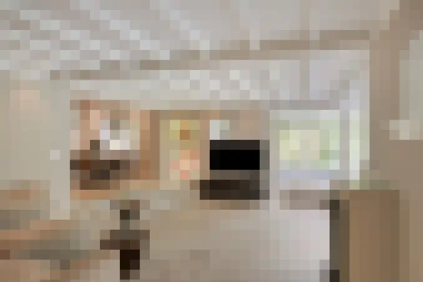 Hazenakkerstraat 11 Oss thumbnail 10