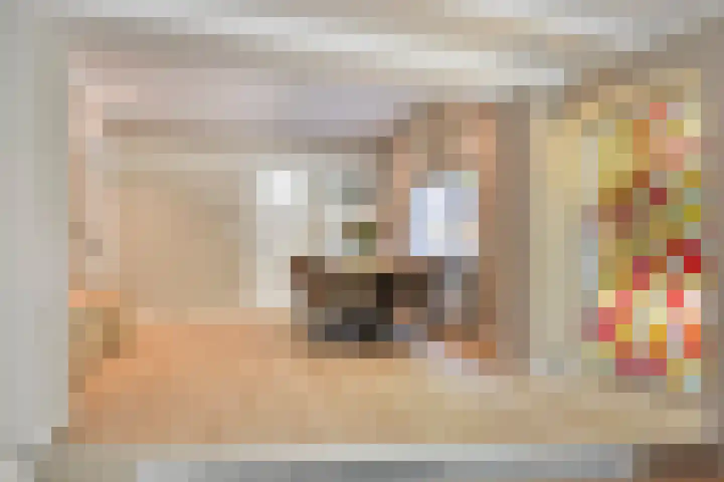 Hazenakkerstraat 11 Oss thumbnail 11