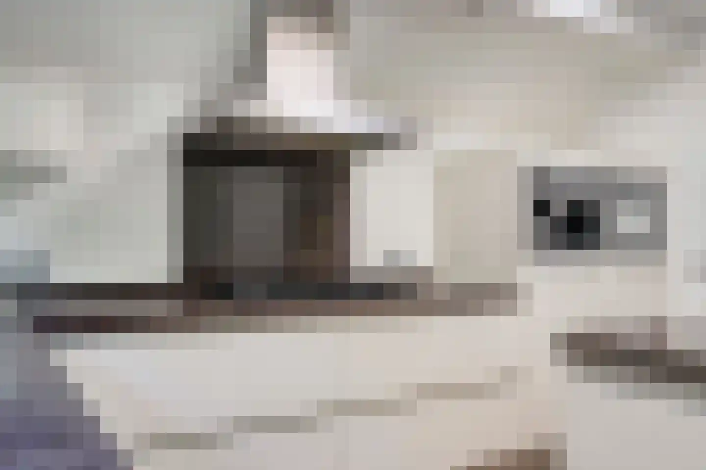Hazenakkerstraat 11 Oss thumbnail 15