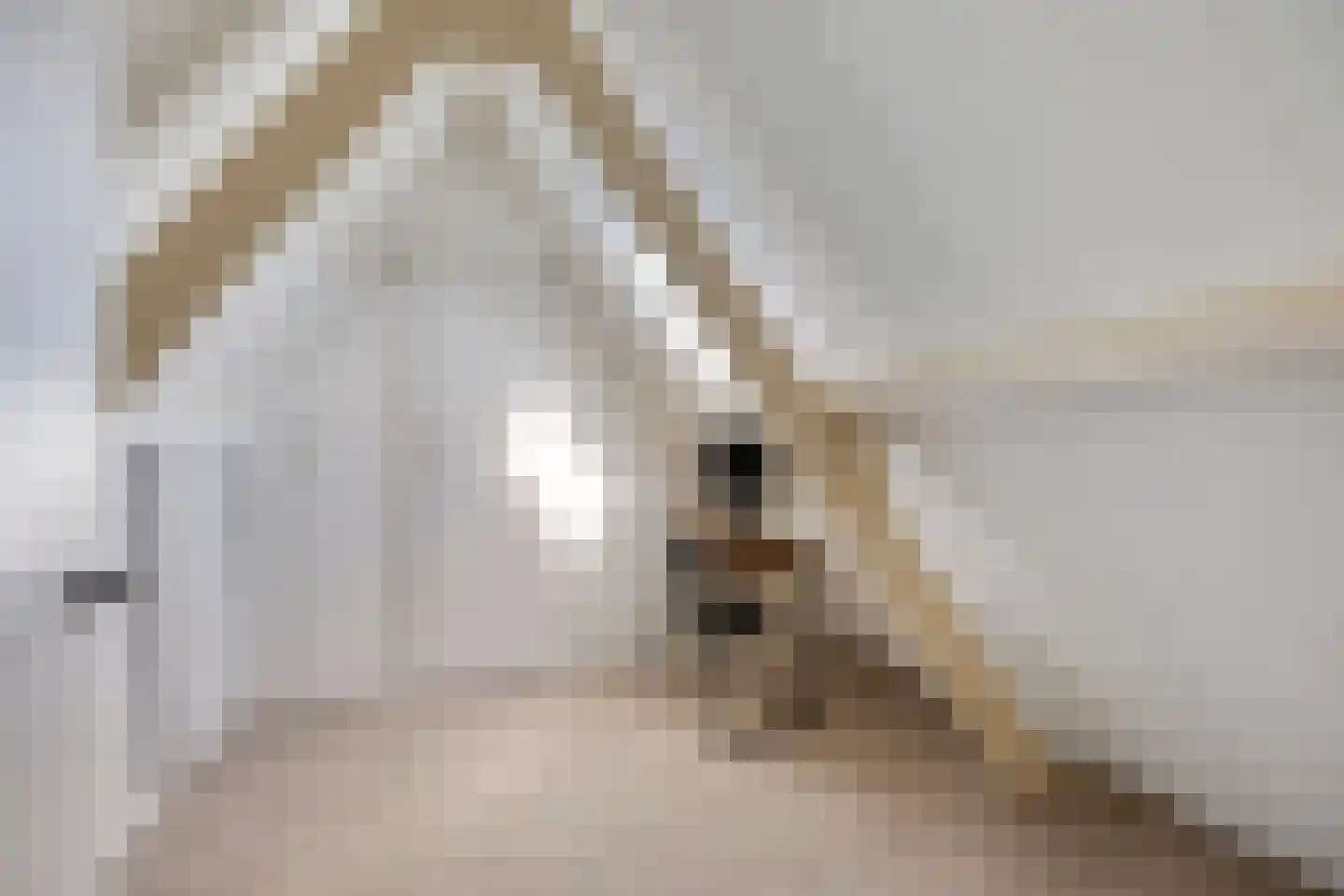 Hazenakkerstraat 11 Oss thumbnail 33
