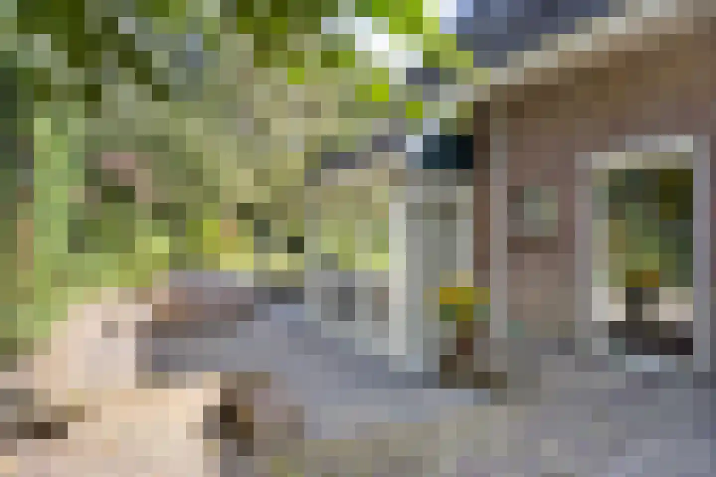 Hazenakkerstraat 11 Oss thumbnail 34