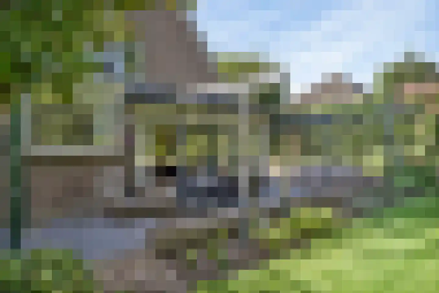 Hazenakkerstraat 11 Oss thumbnail 39