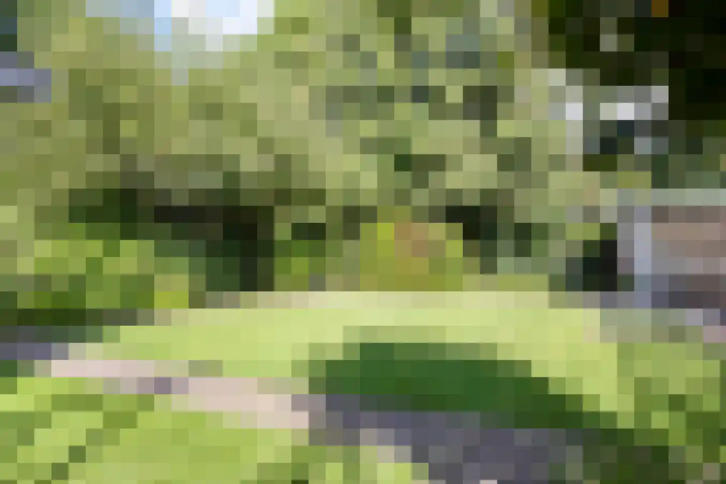 Hazenakkerstraat 11 Oss thumbnail 40