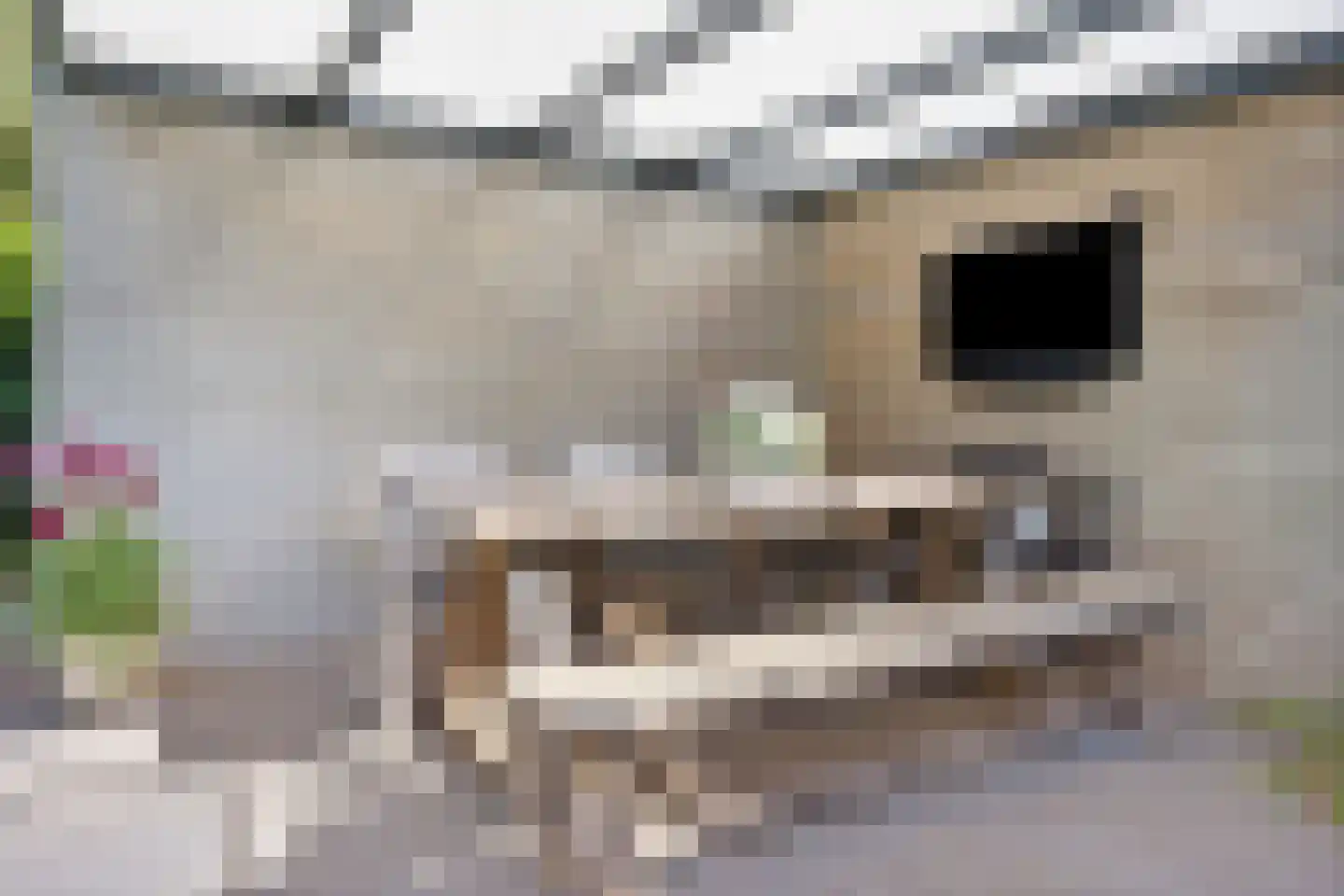 Hazenakkerstraat 11 Oss thumbnail 43