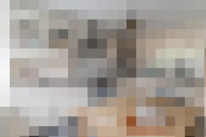 Hazenbeemd 23 Eersel thumbnail 11