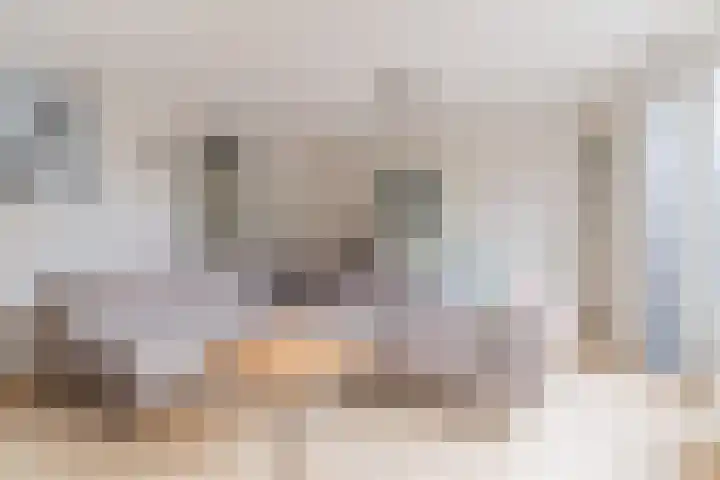 Hazenbeemd 23 Eersel thumbnail 17