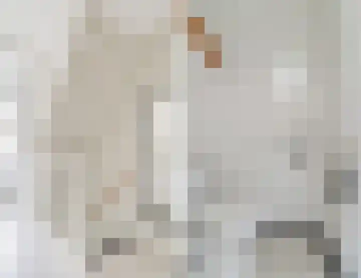 Hazenbeemd 23 Eersel thumbnail 20