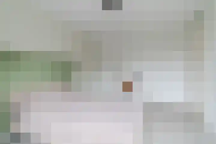 Hazenbeemd 23 Eersel thumbnail 22