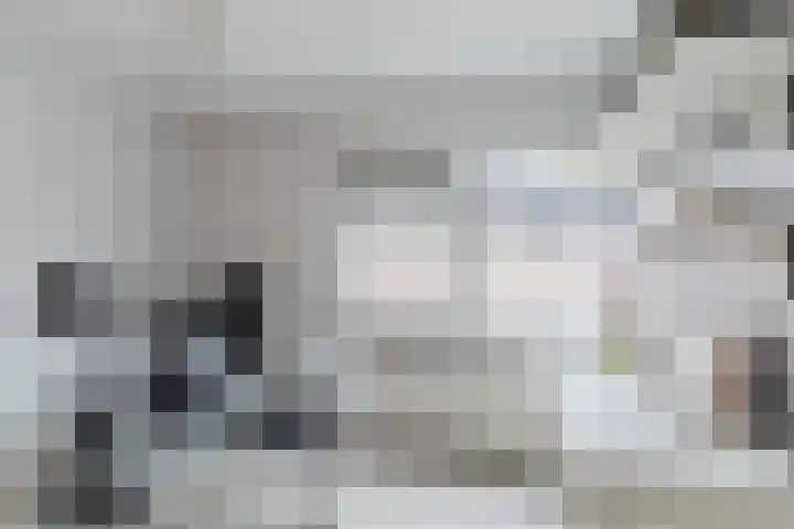 Hazenbeemd 23 Eersel thumbnail 24