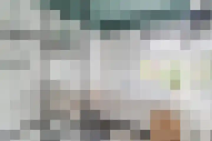 Hazenbeemd 23 Eersel thumbnail 26