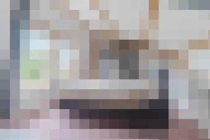Hazenbeemd 23 Eersel thumbnail 29