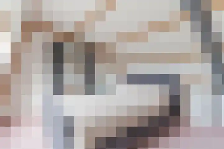 Hazenbeemd 23 Eersel thumbnail 30