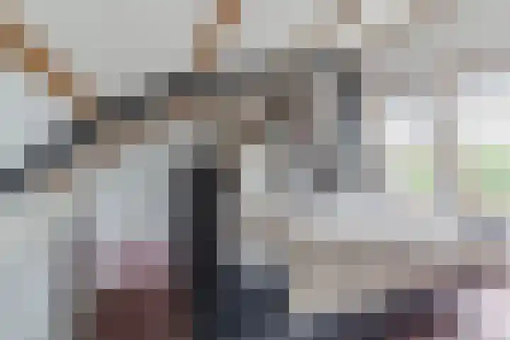 Hazenbeemd 23 Eersel thumbnail 32