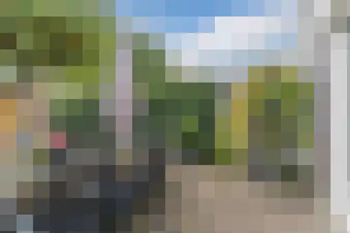 Hazenbeemd 23 Eersel thumbnail 34