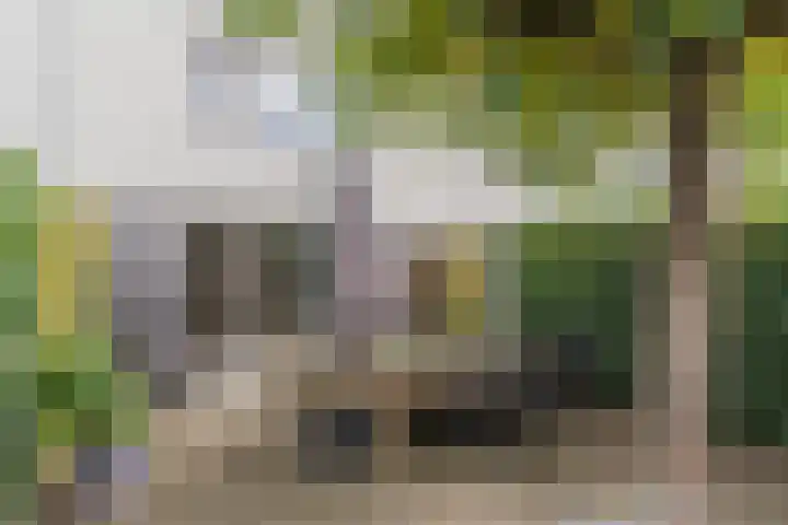 Hazenbeemd 23 Eersel thumbnail 36