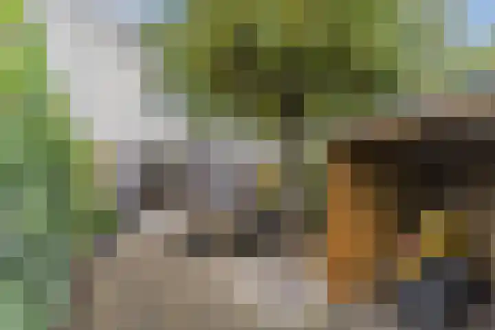 Hazenbeemd 23 Eersel thumbnail 37
