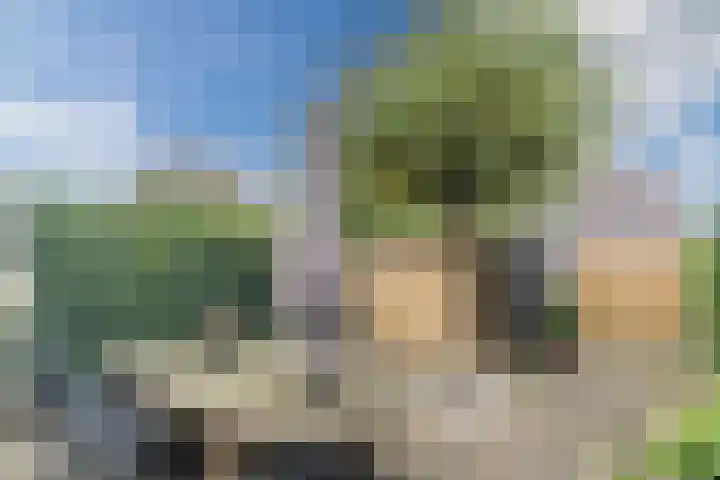 Hazenbeemd 23 Eersel thumbnail 38