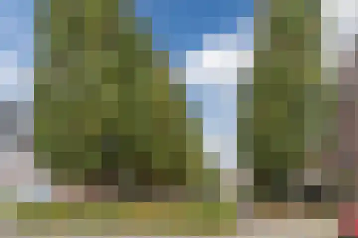 Hazenbeemd 23 Eersel thumbnail 43