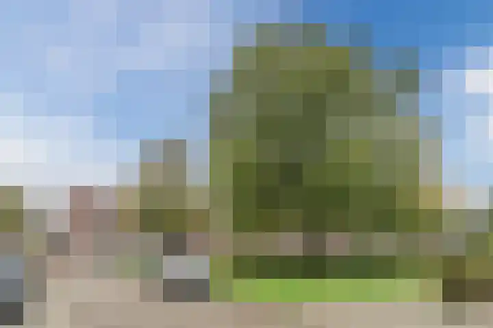 Hazenbeemd 23 Eersel thumbnail 44