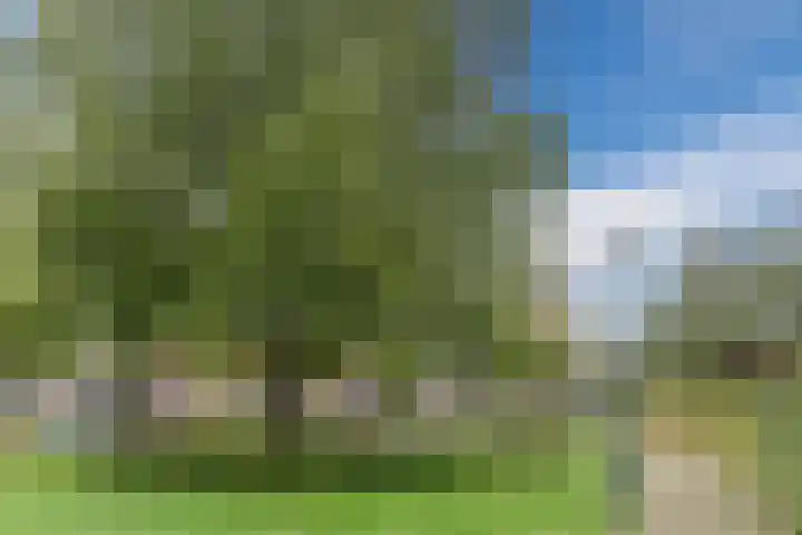 Hazenbeemd 23 Eersel thumbnail 45