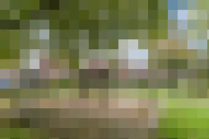 Hazenbeemd 23 Eersel thumbnail 46