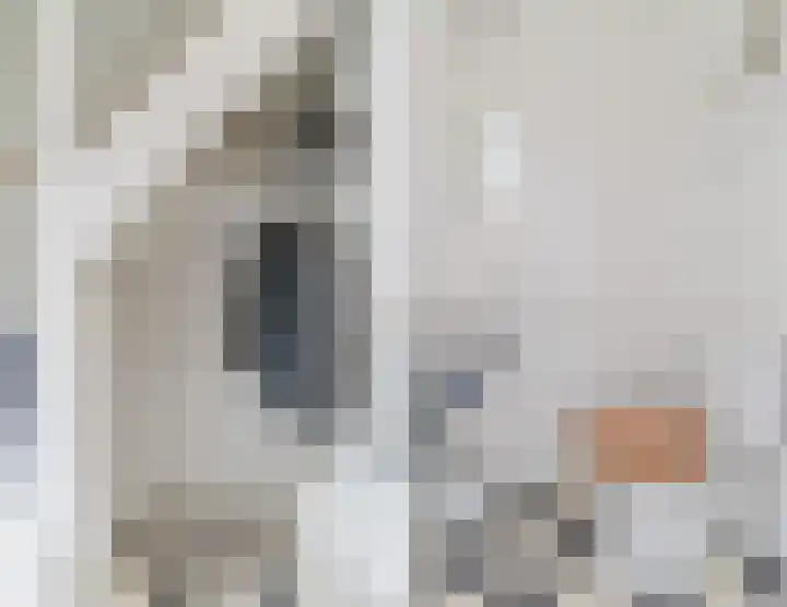 Hazenbeemd 23 Eersel thumbnail 6