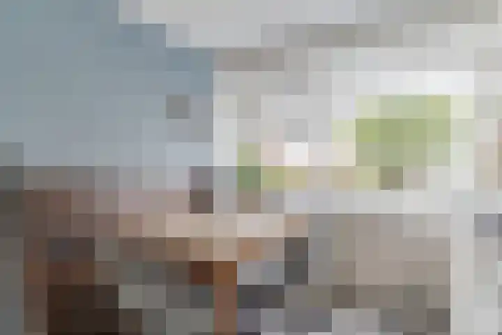 Hazenbeemd 23 Eersel thumbnail 9