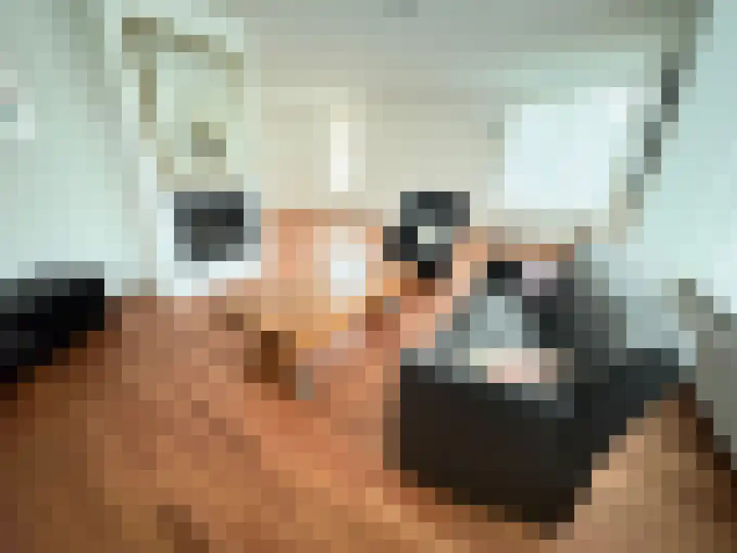Hazenbeemd 6 Eersel thumbnail 10