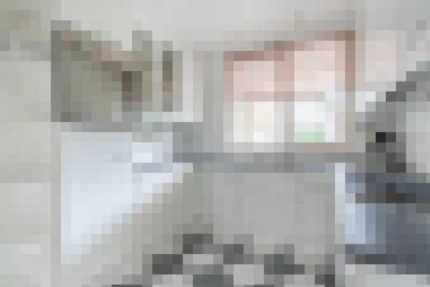 Hazenbeemd 6 Eersel thumbnail 15