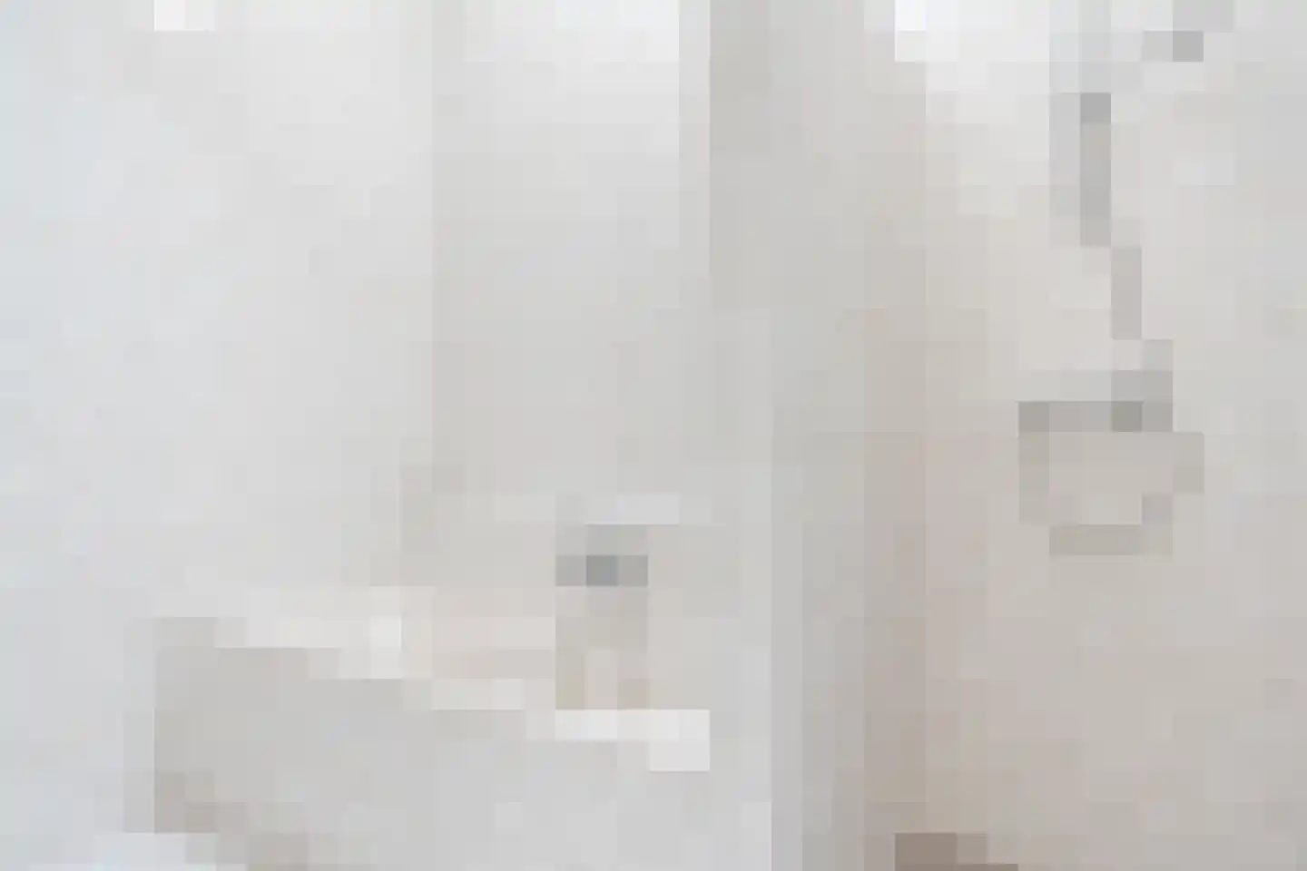 Hazenbeemd 6 Eersel thumbnail 20