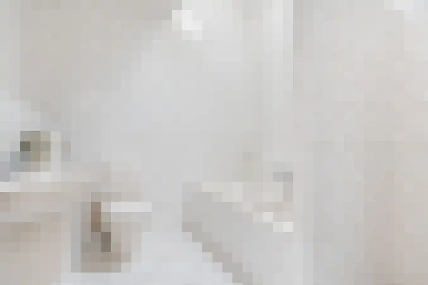 Hazenbeemd 6 Eersel thumbnail 21