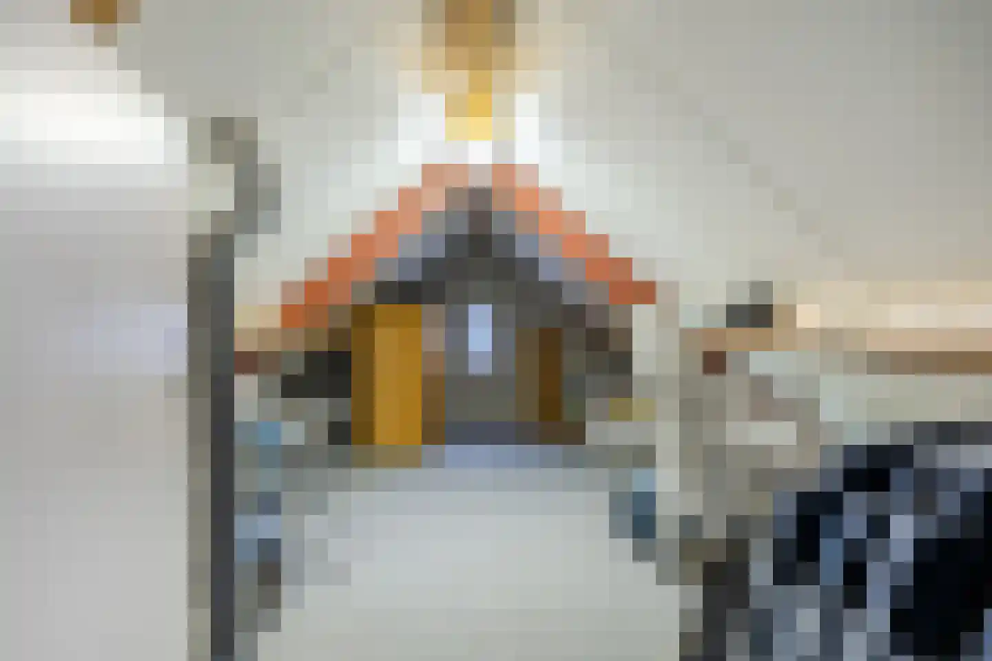 Hazenbeemd 6 Eersel thumbnail 28