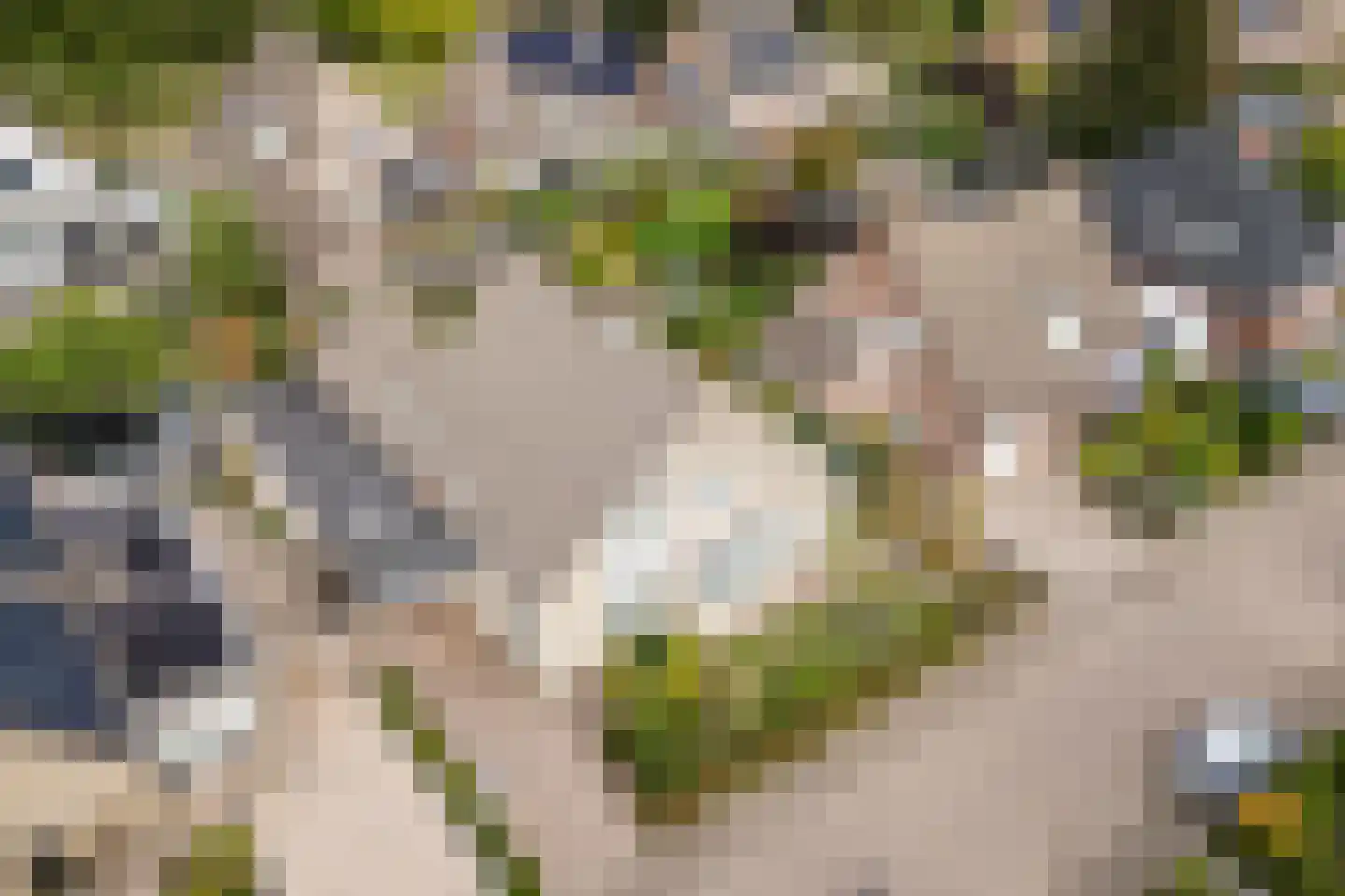 Hazenbeemd 6 Eersel thumbnail 42