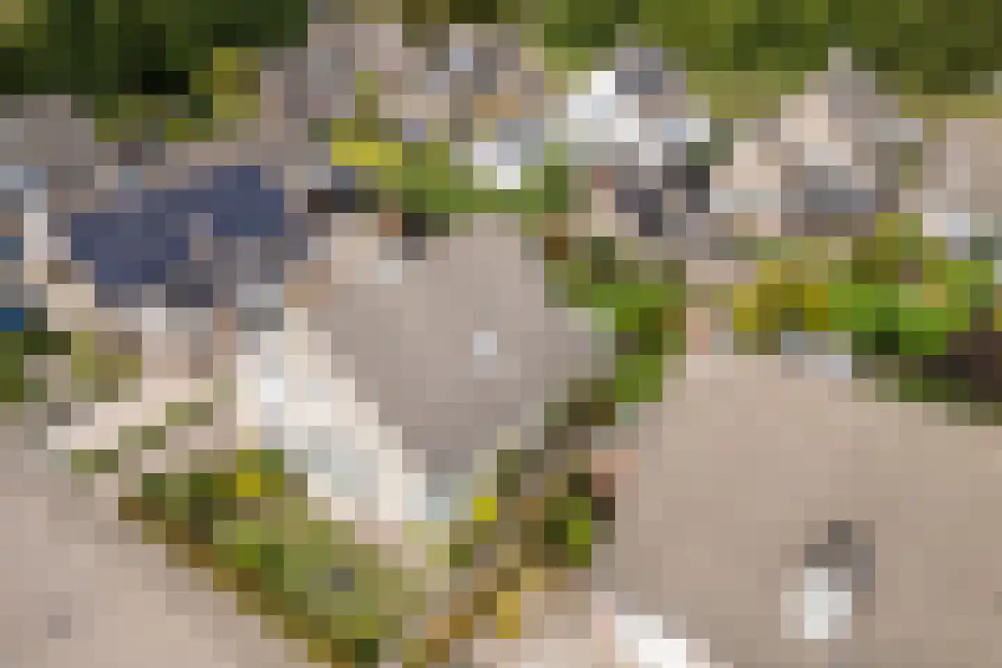 Hazenbeemd 6 Eersel thumbnail 43