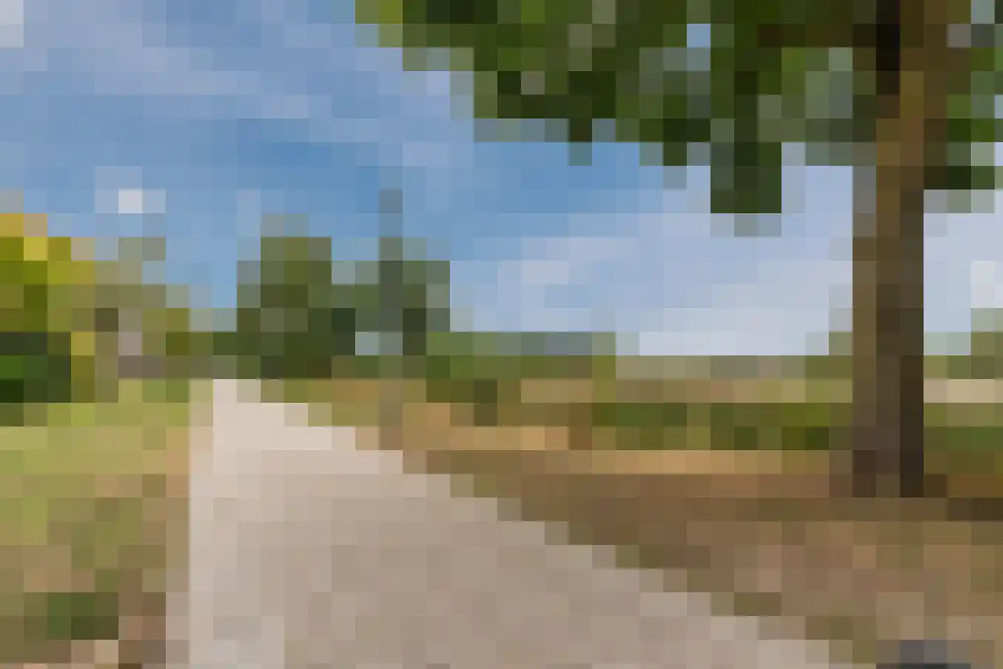 Hazenbeemd 6 Eersel thumbnail 46