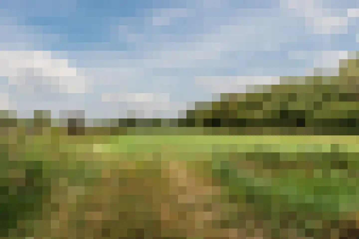 Hazenbeemd 6 Eersel thumbnail 47