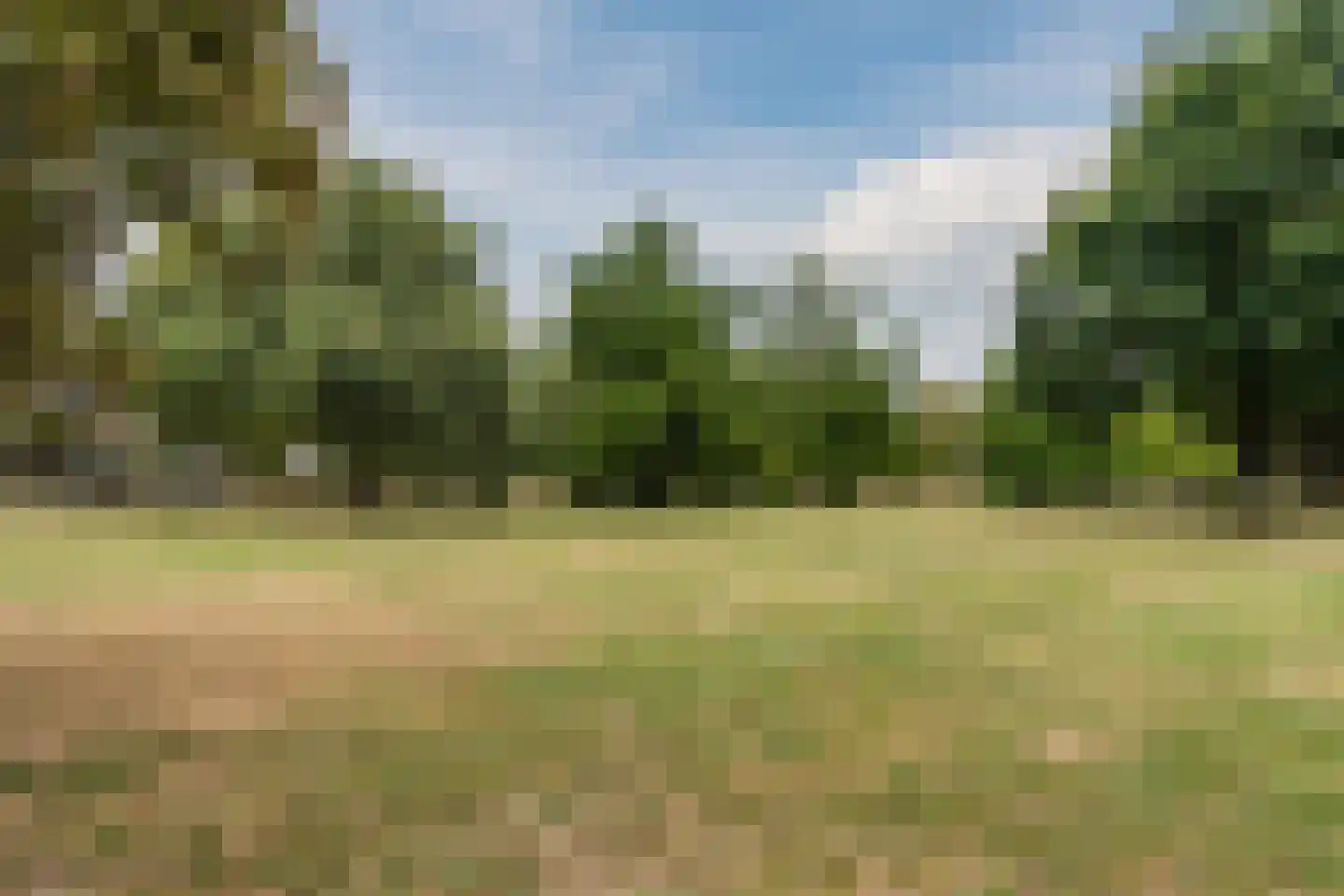 Hazenbeemd 6 Eersel thumbnail 48