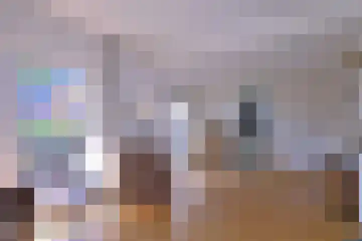 Hazenberg 28 Brummen thumbnail 10